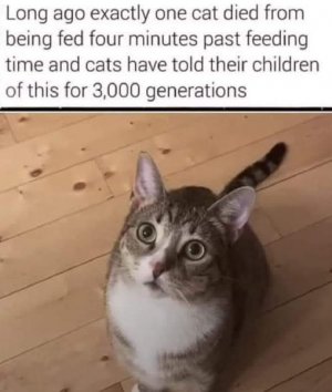 370337819_870579254431745_5559528665907233981_n (1).jpg