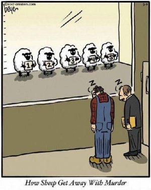 cartoon.jpg