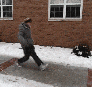 8qt5.gif
