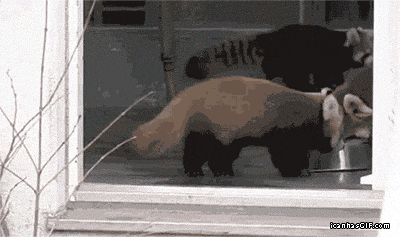 3d45040be986b9416ecee684cd8d9b20.gif