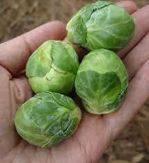 little green.jpg