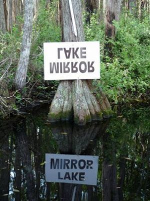 mirror.jpg