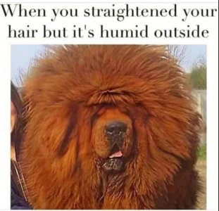 E55484A0-0820-4366-9B2F-E0FE35F134DF.jpeg