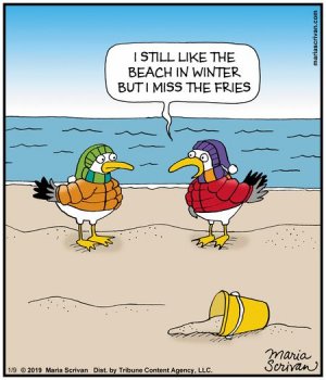 beach winter.jpg