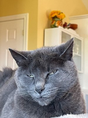IMG_2812.jpeg