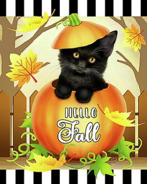 hello-fall-cat-melissa-dawn.jpg
