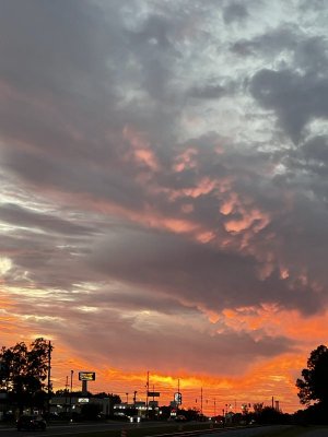 IMG_0715.jpeg