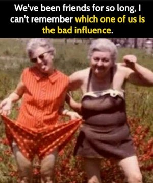 oldfriends.jpg