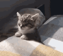 cat-sleepy-sleepy.gif