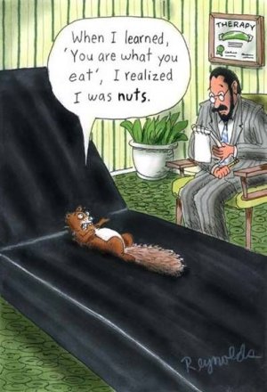 nuts.jpg
