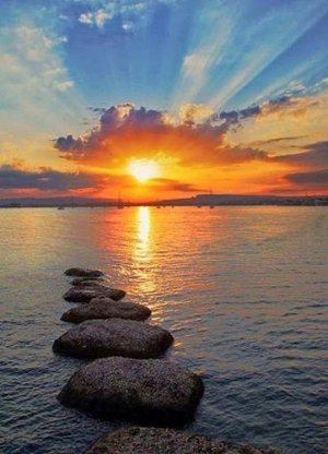 9e1a10a03599d1130b363e0f977ee616[1].jpg