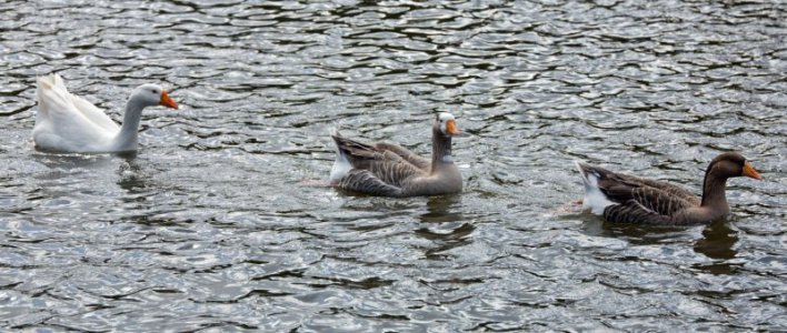 IMG_3582.JPG