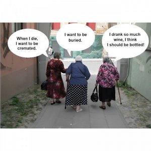 IMG_4480.jpeg