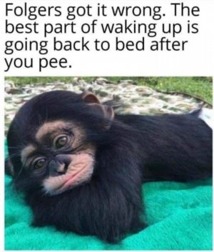 peejoke.jpg