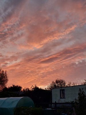 20230909_195101.jpg