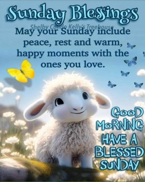 FB_IMG_1694364119029.jpg