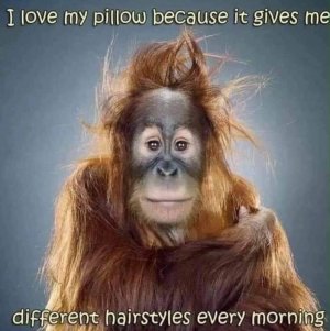 FB_IMG_1694401201775.jpg