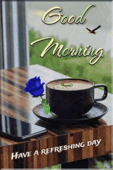 IMG_4527.gif
