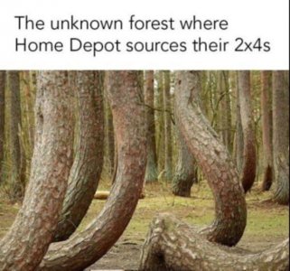 IMG_4542.jpeg