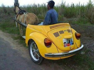 vwhorse.jpg