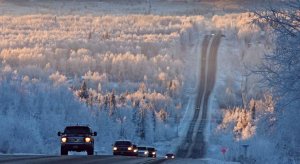 ice and frost.jpg
