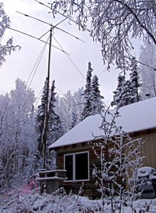 P1010019.jpg