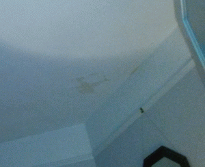 ceiling4.gif