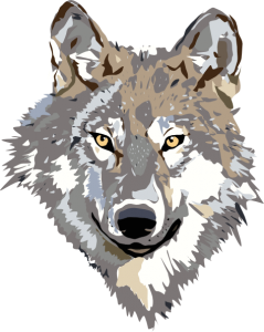 wolf-hi.png