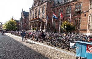 gronuni.JPG