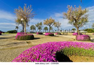 parc-de-la-mar-park-palma-majorca-mallorca-balearic-islands-spain-cxrhdk.jpg
