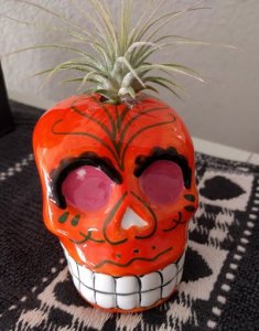 orange-skull.jpg