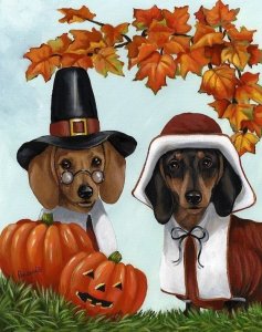 doxie.jpg