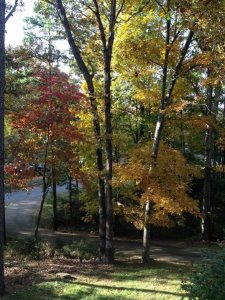 IMG_0488.jpg