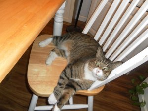Quigley Jan '16.jpg