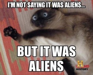 alien cat.jpg
