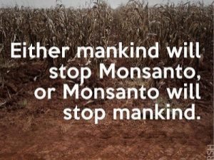 Monsanto-Death-Fight-300x224.jpg