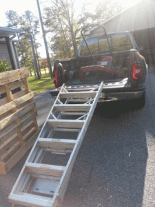 lm3.gif