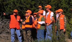 orange.jpg