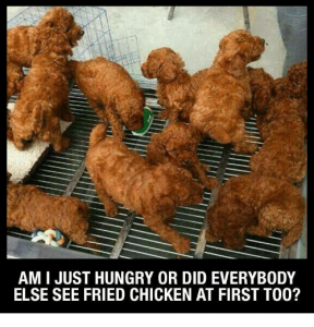 ami-just-hungry-or-did-everybody-else-see-fried-chicken-12592176.png