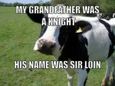 IMG_4551.jpeg