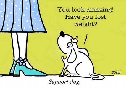 supportdog.jpg