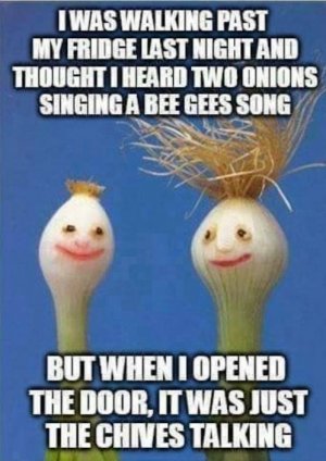 onionssinging.jpg