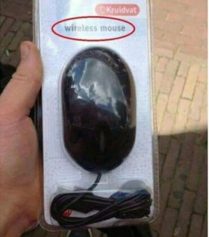 mouse.JPG