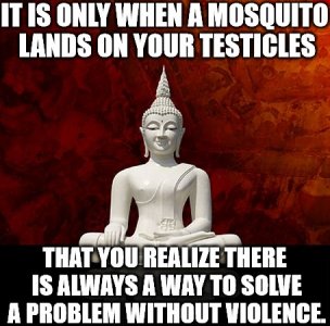 solveproblem.jpg