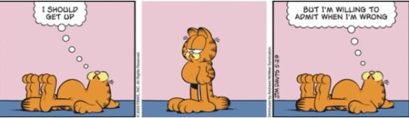 cat.JPG