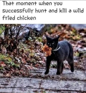 chicke.JPG