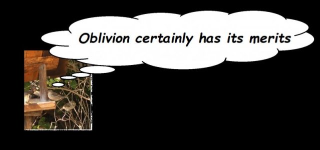 oblivion.jpg