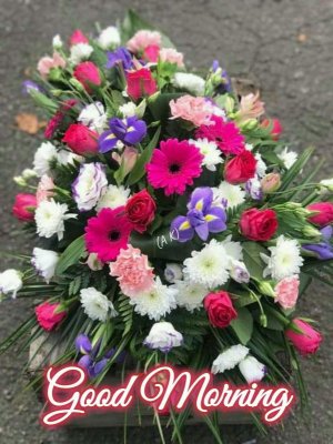 IMG_4528.jpeg