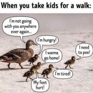 FB_IMG_1694542056996.jpg