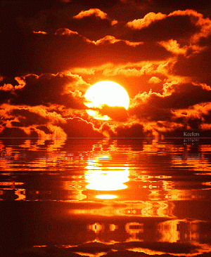 IMG_4581.gif